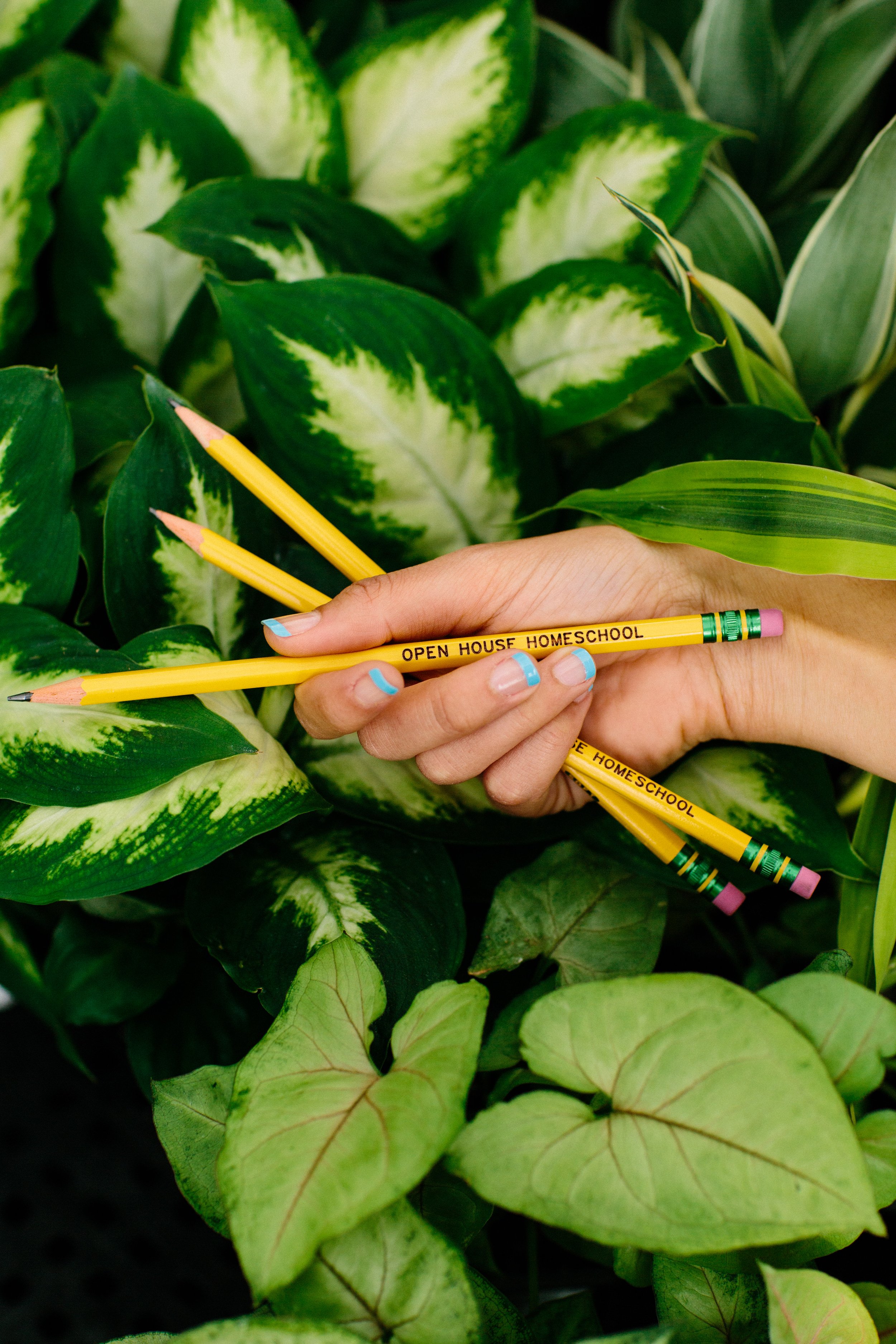 Hands holding pencils over a Homeschool workbook